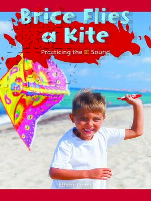 cover image of Brice Flies a Kite